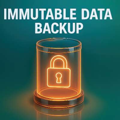 It Pays to Have a Backup that Hackers Can’t Mess With